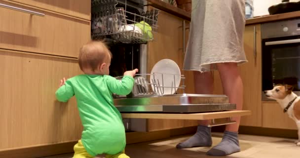 Bebek ve anne bulaşık makinesine tabakları koyar. - Video, Çekim