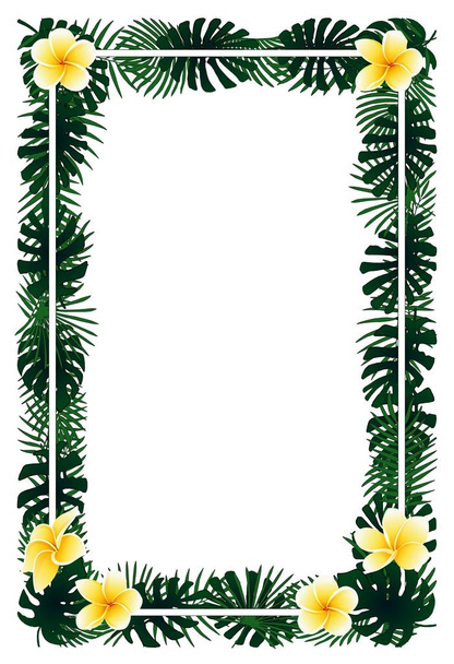 Plantas verdes, hojas exóticas, hoja de plátano, palma areca, plumeria marco tropical
 - Vector, Imagen