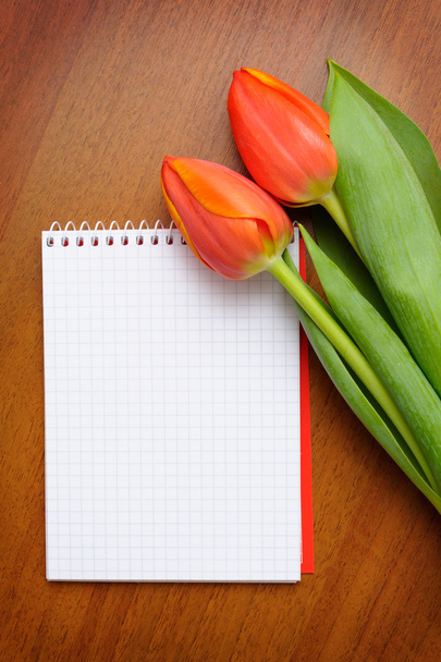 Notebook with tulips - Foto, Bild