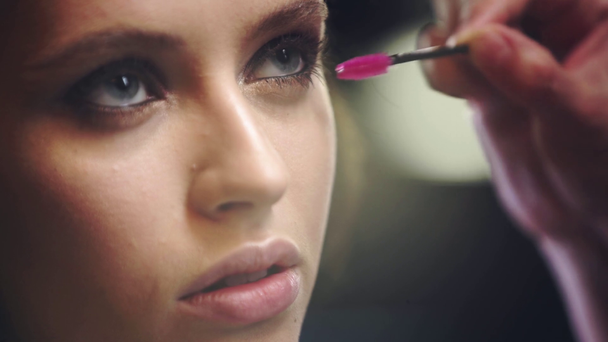 oříznutý pohled make-upu umělec čištění modelu řasy - Záběry, video