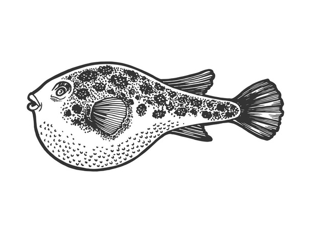 Fugu toxic fish sketch engraving - Wektor, obraz