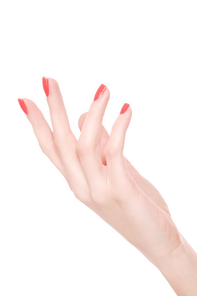 Female hand on a white background - Φωτογραφία, εικόνα