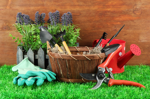 Garden tools on grass in yard - Zdjęcie, obraz