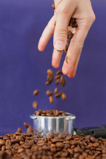 Female Hand Pouring the Coffee Beans into the Coffee Tamper on the Violet Background. - Photo, Image