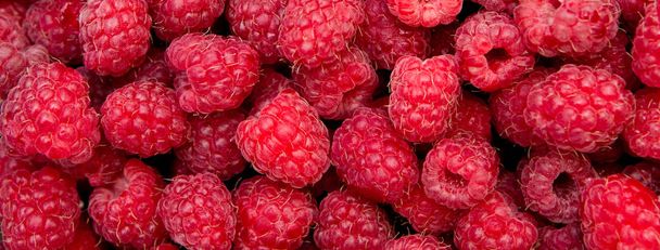 Background from fresh raspberry berries, close up - Φωτογραφία, εικόνα