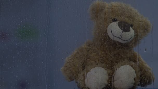Brown teddy bear sitting behind rainy window, lighting blinking, childhood - Filmagem, Vídeo