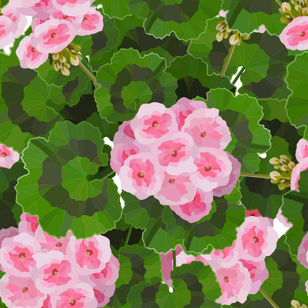 Rózsaszín muskátli virágot vektoros illusztráció. Kert, vagy a belső dekoráció - Vektor, kép