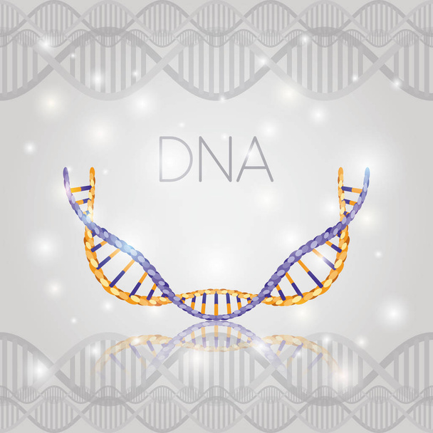 DNA molecuul halve cirkel structuur patroon - Vector, afbeelding