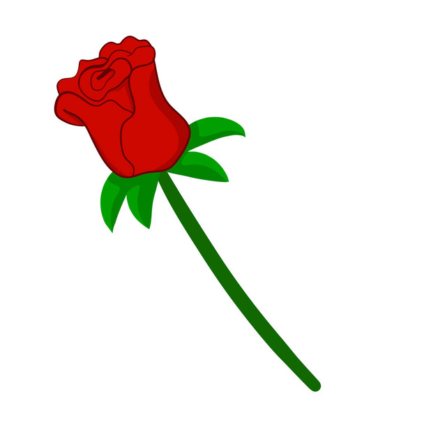 red rose isolated illustration on white background - Vector, Image