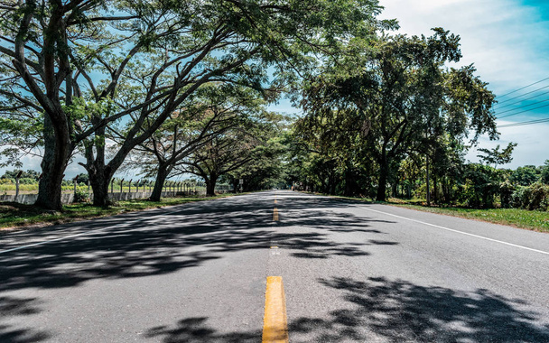 Bellissimo frammento della strada Ibague Espinal con alberi
 - Foto, immagini