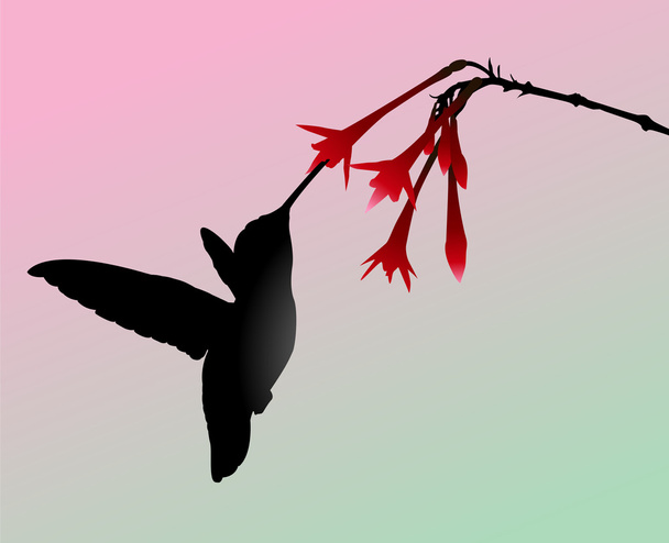 Гудящая птица - Вектор,изображение