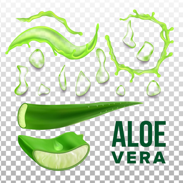 Elemente der Öko-Aloe Vera Set Vektor - Vektor, Bild