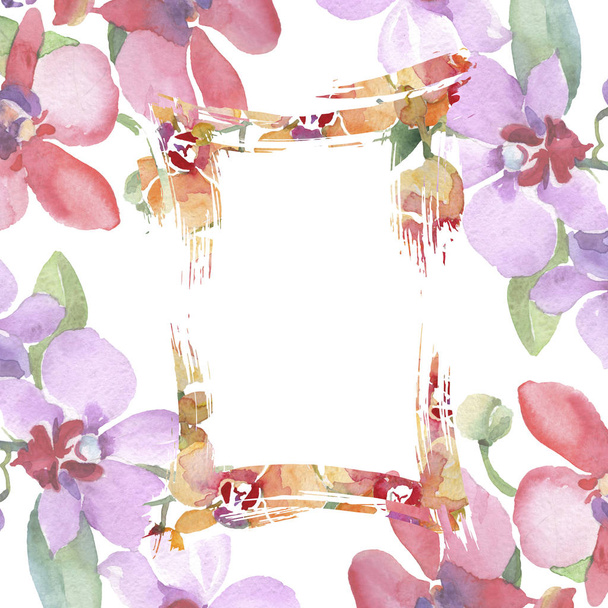 Bukiety orchidei kwiatów kwiatów botanicznych. Akwarela zestaw ilustracji tła. Obramowanie ramy ornament kwadrat. - Zdjęcie, obraz