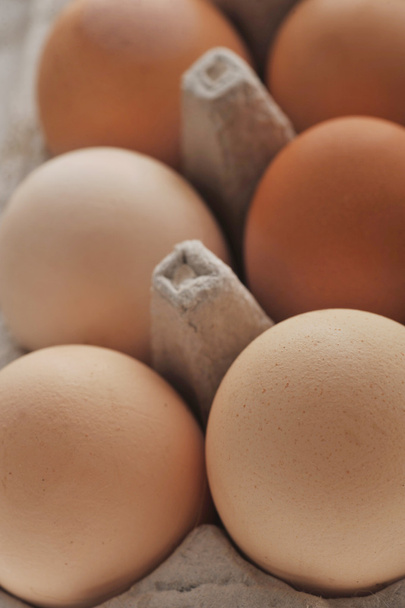 Packed eggs - Zdjęcie, obraz