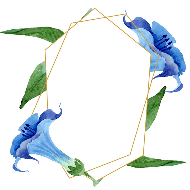 Blue brugmansia floral botanical flowers. Watercolor background illustration set. Frame border ornament square. - Photo, Image
