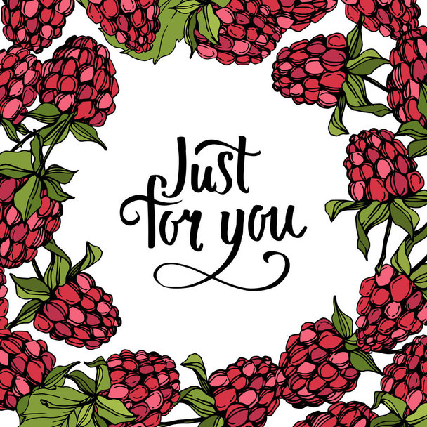 Vector Raspberry healthy food isolated. Red and green engraved ink art. Frame border ornament square. - Vector, Imagen