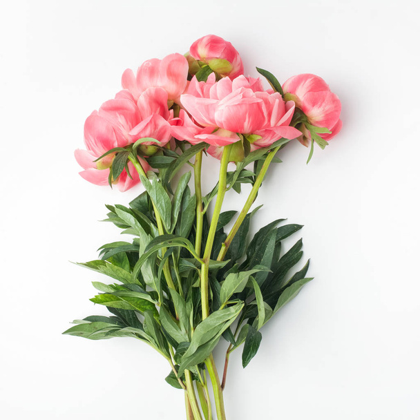 bouquet of fresh peonies on a white background in the center of the frame. flat lay, top view - Photo, Image