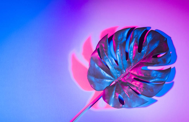 Креативная тропическая раскладка фиолетовых листьев. Сверхъестественное. Плоский лежал. Ультрафиолетовые цвета
. - Фото, изображение