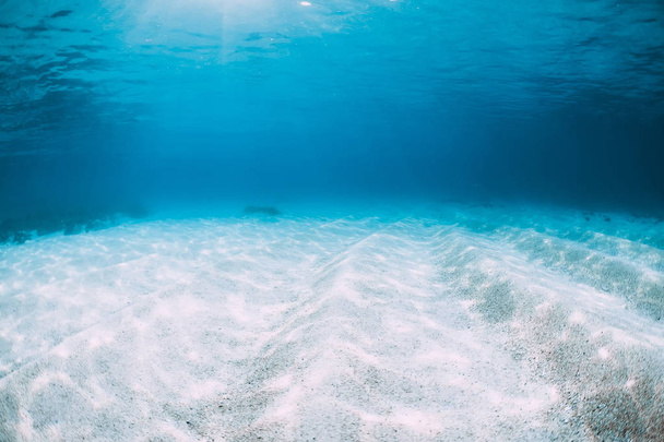 Tropický oceán Modrý s bílou brousit pod vodou v Havaji - Fotografie, Obrázek