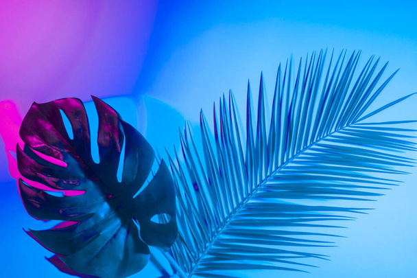 Feuilles tropicales aux couleurs néons holographiques audacieuses et vibrantes - Photo, image