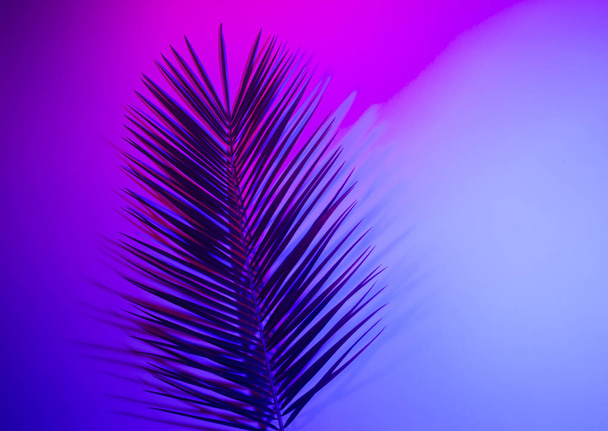 鮮やかな大胆なグラデーションホログラフィックネオンカラーの熱帯の葉 - 写真・画像