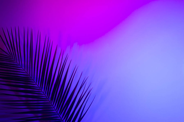 Tropical leaves in vibrant bold gradient holographic neon colors - Photo, Image