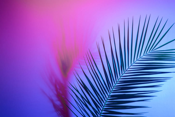 Liście tropikalne w żywych, pogrubionych, gradientowych kolorach neonów - Zdjęcie, obraz