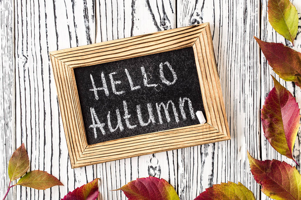 Hello autumn greeting text on chalkboard. Top view.  - Fotó, kép
