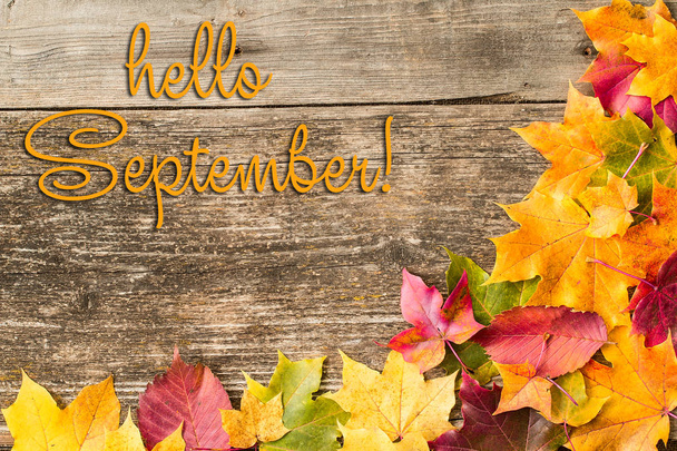  Hello September lettering card. Concept of the fall season - Фото, зображення