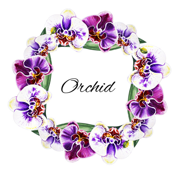 Gyönyörű keret orchidea virágokat. Akvarell festés. Egzotikus növény. Virágos nyomtatás. Növénytani összetétel. Esküvő és születésnapi. Üdvözlőlap. Virág festett háttér. Kézzel rajzolt illusztráció. - Fotó, kép