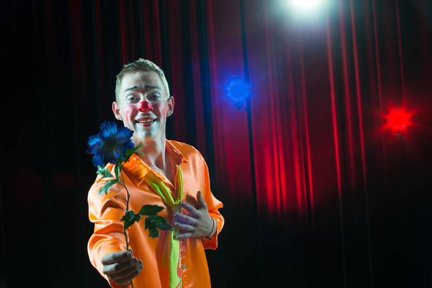 Cirkusový klaun provádí číslo. Muž v klaunském obleku s květinou - Fotografie, Obrázek