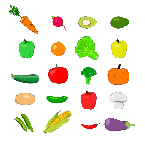 Gemüseauswahl: Karotten, Rettich, Avocado, bulgarische Paprika, Zwiebeln, Salat, Zucchini, Tomaten, Brokkoli, Kürbis, Kartoffeln, Gurken, Champignon, Erbsen, Mais, Chili und Auberginen - Vektor - Vektor, Bild