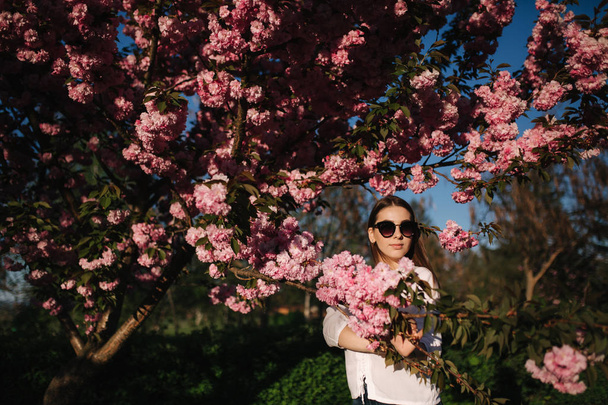 Beautiful woman in sunglasses stand in sakura tree - Foto, Bild
