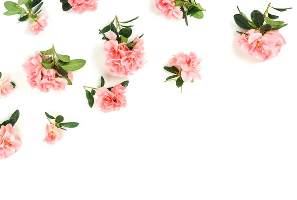 top view of beautiful pink flowers on white background - Photo, image