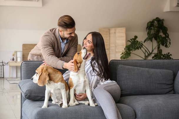 Giovane coppia con simpatici cani a casa
 - Foto, immagini