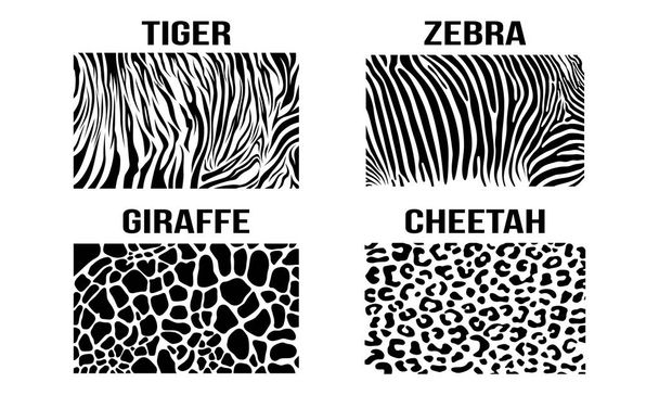 Zwart witte Cheetah Giraffe Zebra Tiger vector huid patroon textuur - Vector, afbeelding