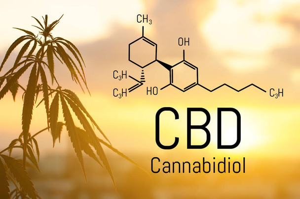 CBD is in hemp extract. Cannabidiol Formula. Concept of use in t - Photo, Image
