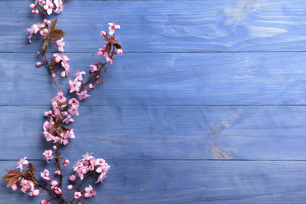 Gyönyörű virágzó ágak fa háttér - Fotó, kép