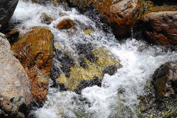Σαφείς και γλυκά νερά που ρέουν σε χείμαρρους αλπική κοιλάδα της Αόστα, Ιταλία. - Φωτογραφία, εικόνα