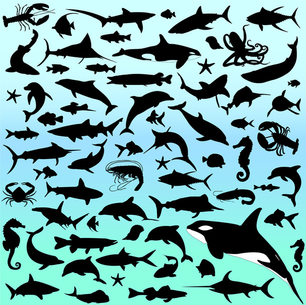 deniz hayvanları - Vektör, Görsel