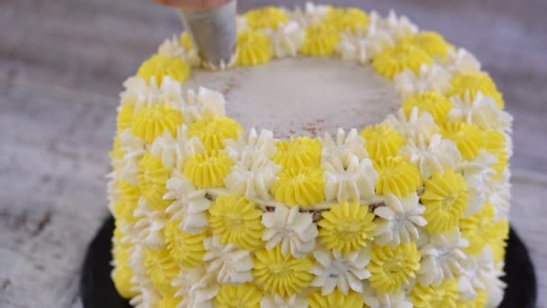 Koch oder Bäcker dekorieren Kuchen mit Schlagsahne. - Filmmaterial, Video