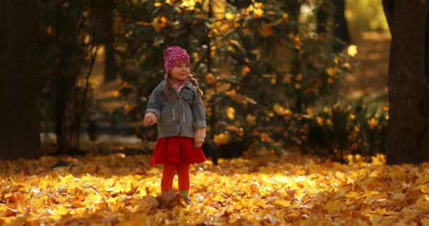 Симпатична маленька дівчинка грає з листям в осінньому лісі
. - Кадри, відео