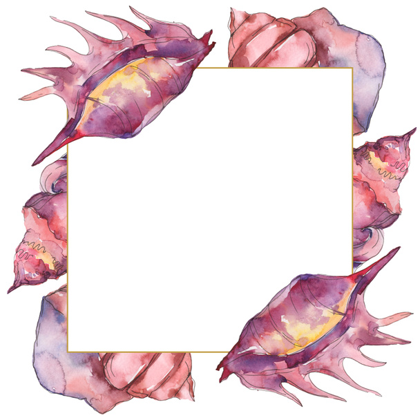 Purple marine tropical seashells isolated on white. Watercolor illustration frame with copy space.  - Φωτογραφία, εικόνα