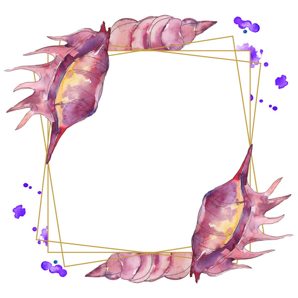 Purple marine tropical seashells isolated on white. Watercolor illustration frame with copy space.  - Φωτογραφία, εικόνα