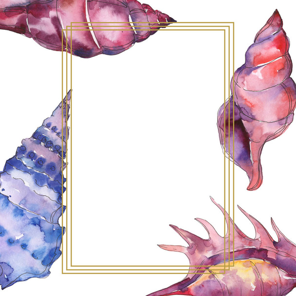 白に隔離された青と紫の海洋熱帯貝殻。コピースペース付き水彩イラストフレーム.  - 写真・画像