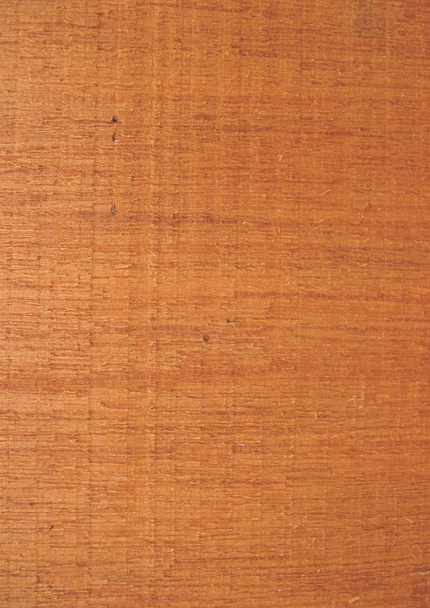 vue rapprochée de la texture en bois
 - Photo, image