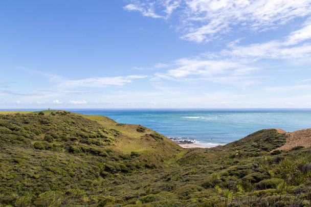 Lindo litoral em Omapere, Nova Zelândia
 - Foto, Imagem