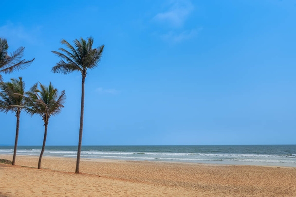 agua del océano y cielo azul con palmeras en Goa, India
 - Foto, imagen