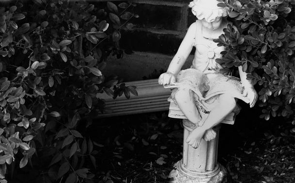 Black&White picture of a statue (reading boy) hidden in the bush.        - Photo, Image