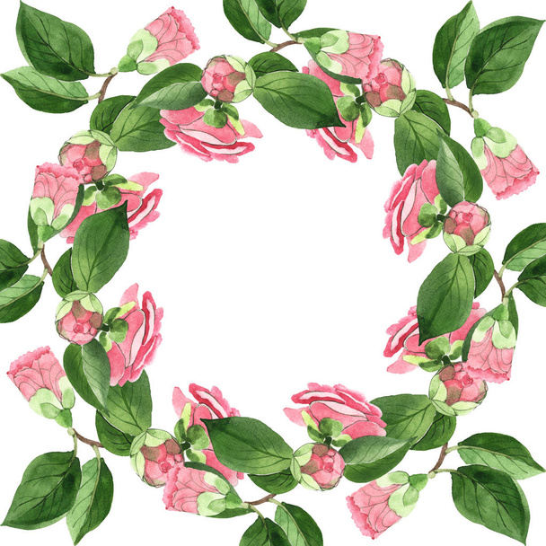 Pink camellia flowers with green leaves isolated on white. Watercolor background illustration set. Empty frame with copy space. - Фото, изображение